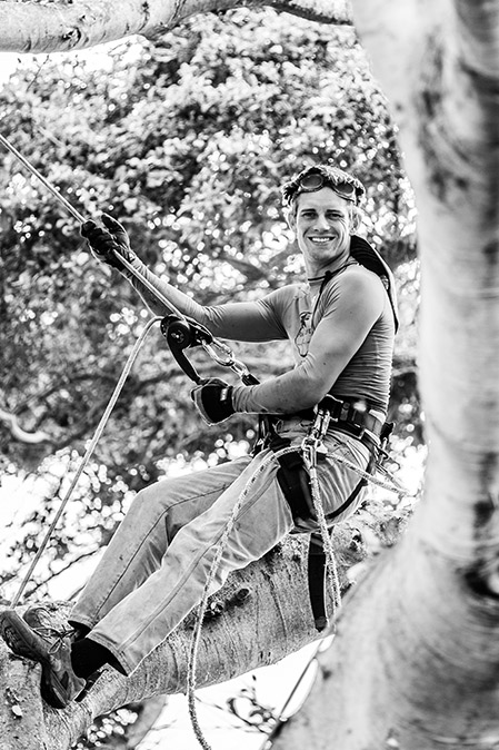 Pure Life Palm and Tree Care manager Daniel Kolp