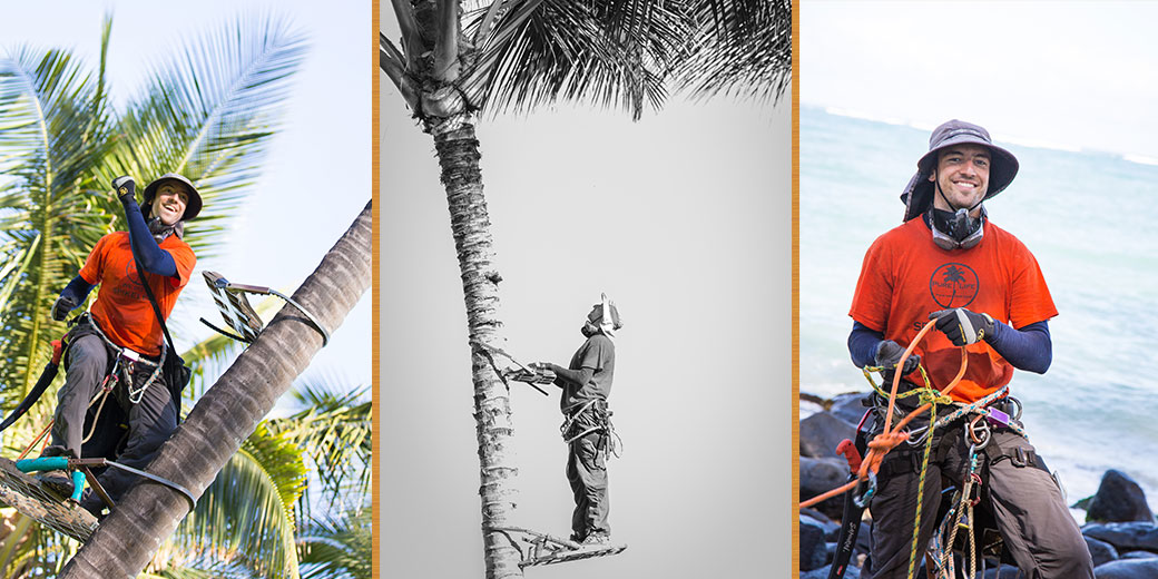 Pure Life Palm and Tree Care Maui History