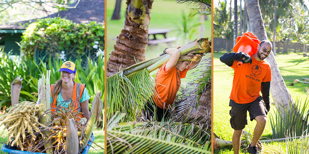 Pure Life Palm and Tree Care Maui friendly ground crew