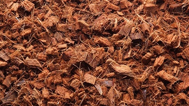 Pure Life Palm and Tree Mulch Sales featured image