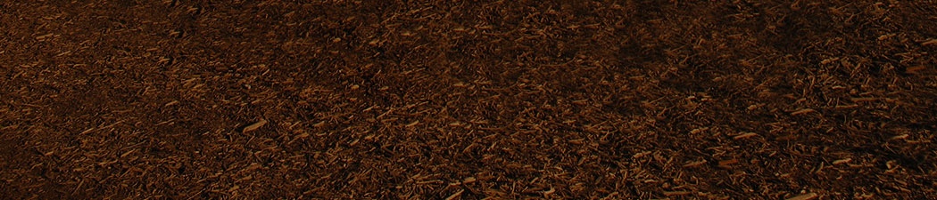 Pure Life Palm and Tree Care Maui mulch header